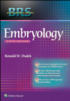 BRS Embryology (6th Ed).pdf